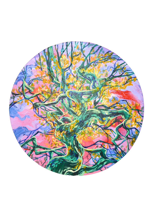 Alive with colour and movement, Through the Trees captures the energy and rhythm of nature from an upward gaze. Twisting branches reach toward a vivid sky of pinks, purples, and golds, creating a dance between light and form. The circular composition enhances the sense of flow — as though the viewer is standing beneath the canopy, surrounded by life and light. A vibrant and uplifting celebration of nature’s vitality and the wonder found in looking up.
